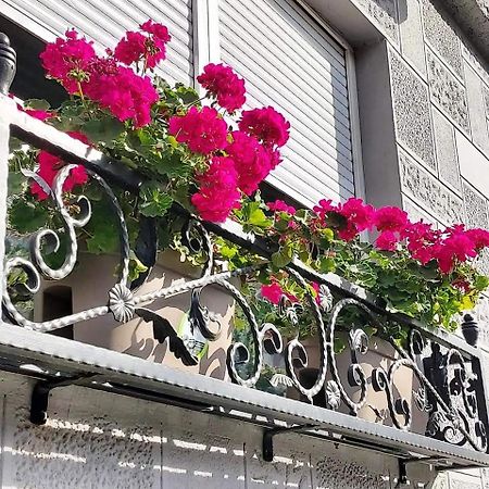 Hills Apartments Vrsac Zewnętrze zdjęcie